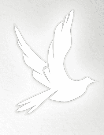 David Allen Brown Obituary