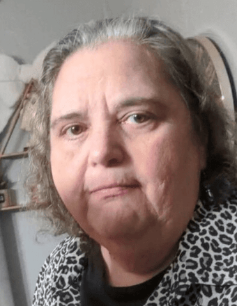 Judy Ann (Schaub) Fiscus Obituary