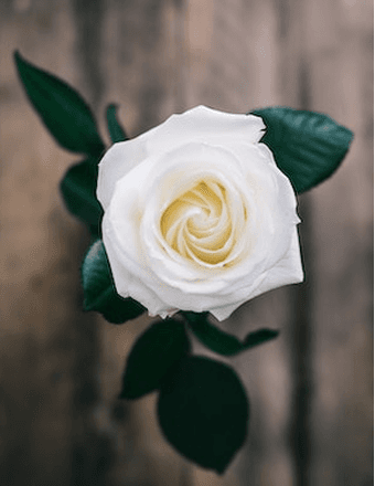 Ruby Patricia (Cousins) Hartman Obituary
