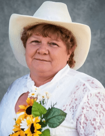 Sue A. (Little) Holibaugh Obituary